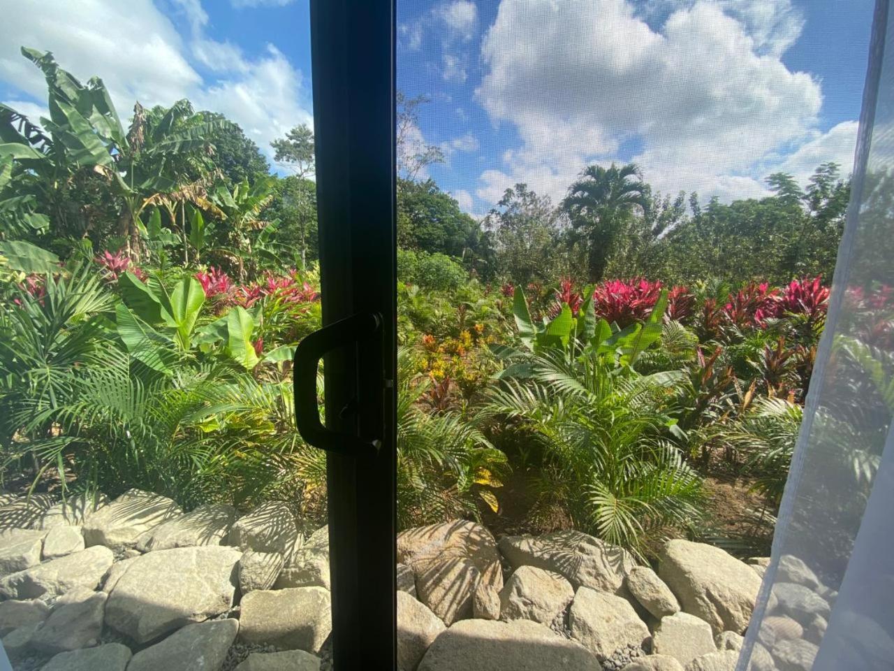 Toucan Home La Fortuna Екстер'єр фото