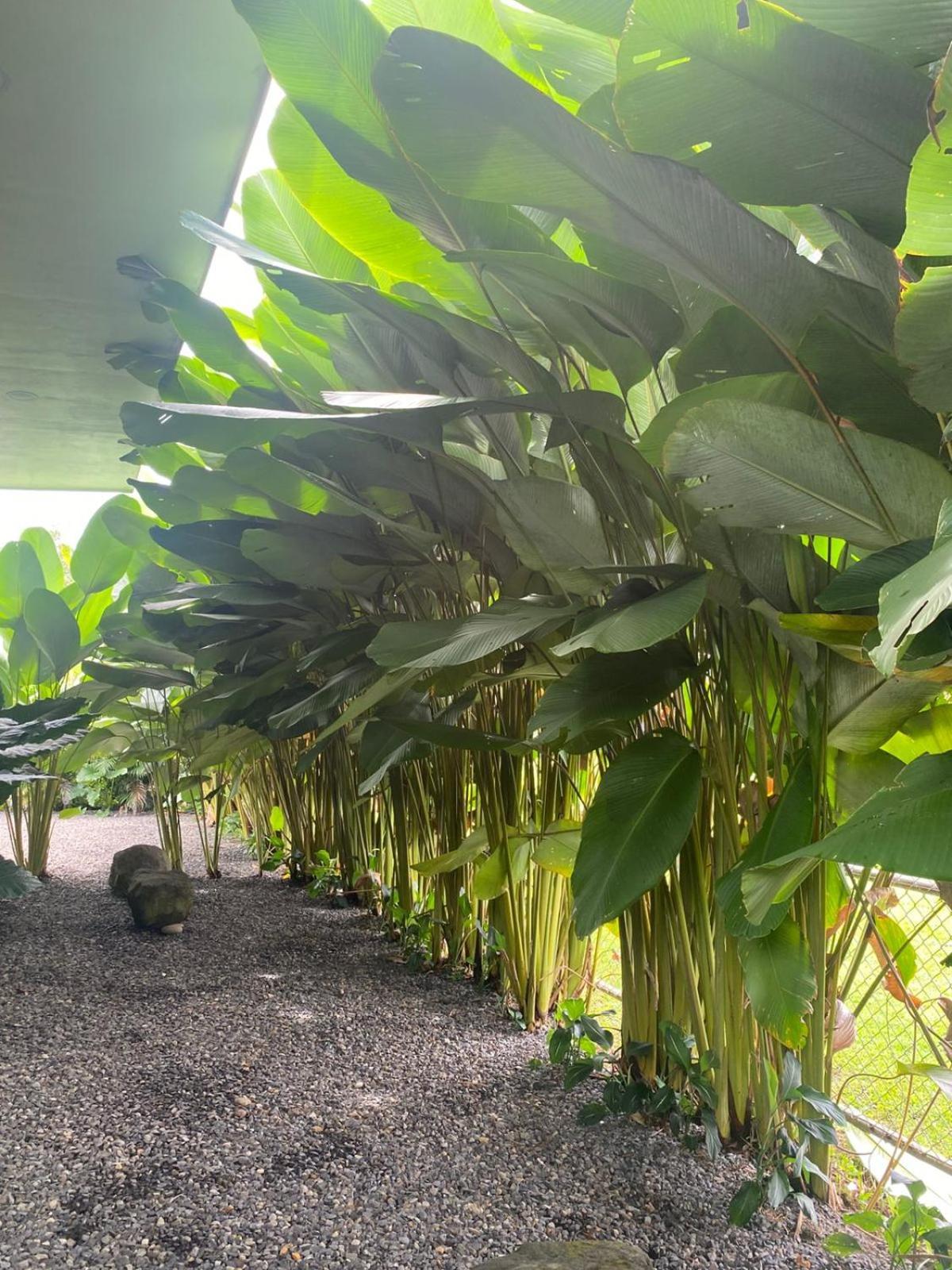 Toucan Home La Fortuna Екстер'єр фото