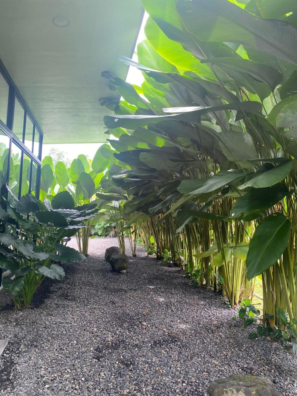 Toucan Home La Fortuna Екстер'єр фото